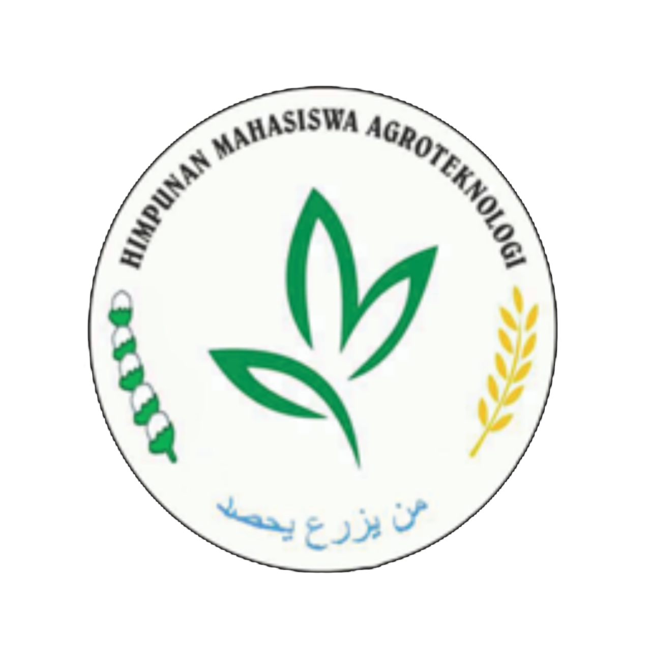 HIMAGI